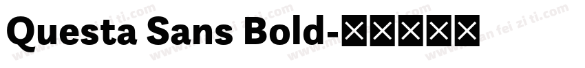 Questa Sans Bold字体转换